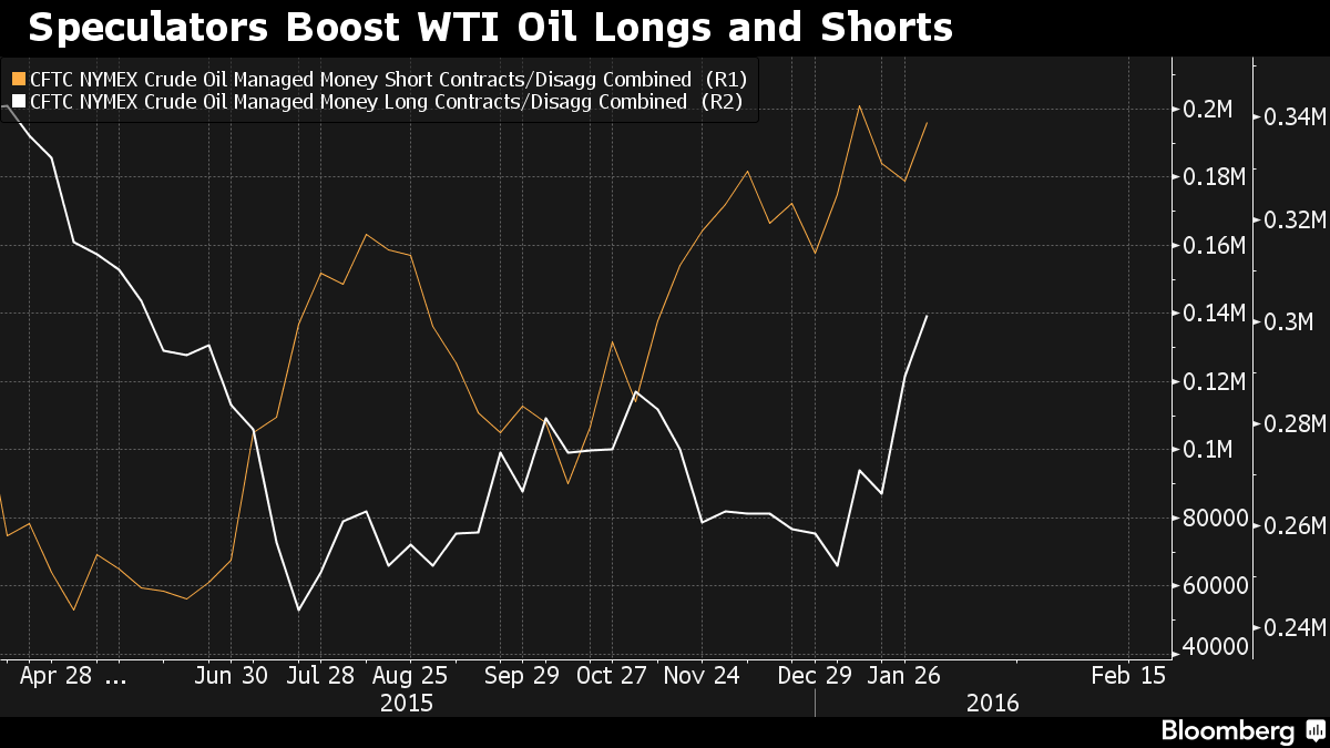 bloomberg0802-1.png